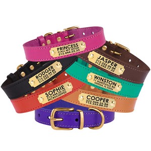 dog collar personalized buckle