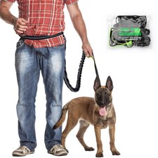 Dog Walking and Training Belt with Shock Absorbing Bungee Hands Free Leash  1.2m  