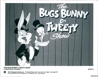 1994 Bugs Bunny Tweety Show Warner Brothers Animation Cartoon Ny Photo 7x9