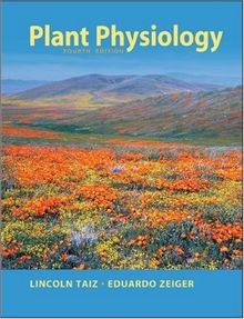 Plant Physiology von Lincoln Taiz | Buch | Zustand gut