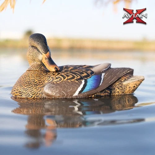 Avian-X Power Shaker Mallard Hen Decoy - Thumbnail 5