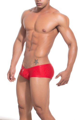 Joe Snyder Cheek Boxer Nuevo con Etiquetas Ropa Interior de Natación Traje de Baño Elige Color JS-13 - Imagen 47 de 60
