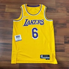 Nike Lebron James 6 Los Angleles Lakers Swingman Jersey Sz 44