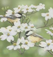 Ceramic Backsplash Tile Mural Bird Kitchen/Bathroom - Springtime and Chickadees