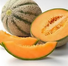 60 Heirloom "Hoodoo" Melon Seeds - American Classic Cantaloupe - Very Sweet
