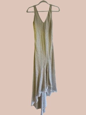 Lanvin for H&M | Dresses | Hm Conscious Exclusive Sequined Chiffon Dress Size8