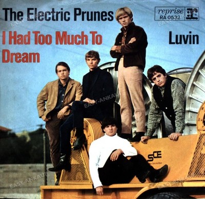 The Electric Prunes - I Had Too Much To Dream 7'' (VG-/VG) ´
