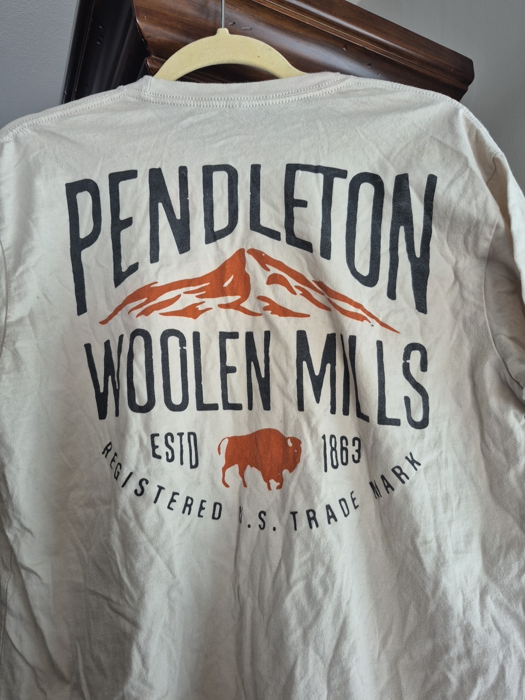 Pendleton Woolen Mills Tee - image 2