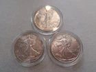 50C Walking Liberty Half Dollars-3 "AU/BU" Coins