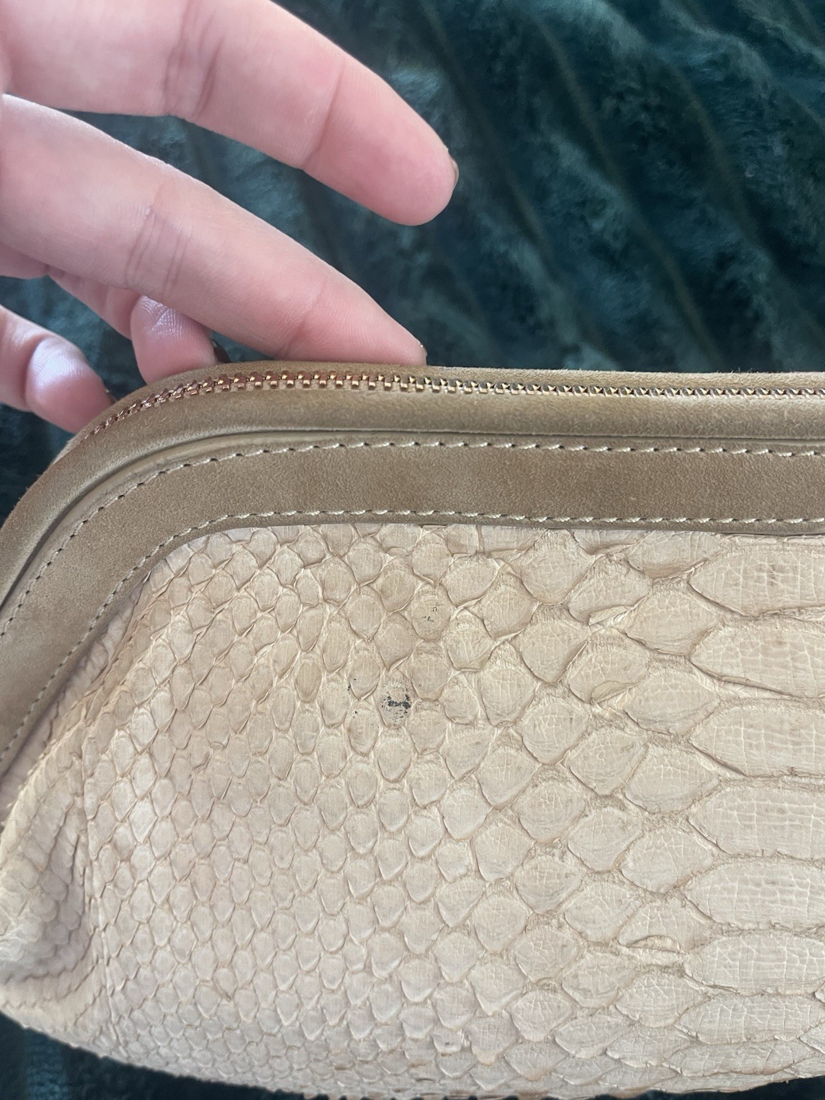 Authentic python snakeskin beige clutch, gold har… - image 6