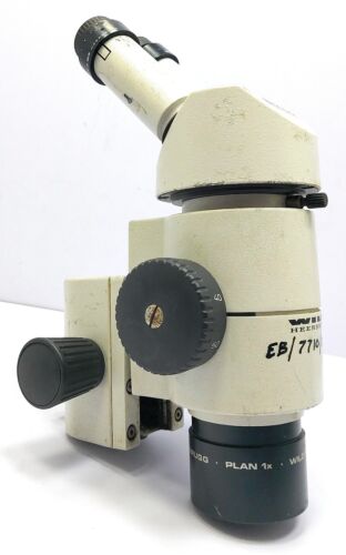 Wild Heerbrugg Stereo Microscope with 10x/21 Eyepieces and Plan 1x Objective - Picture 4 of 10