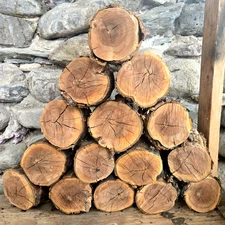 2 Big Apple Wood Log Chunks 4"~5"D 5"~8”L Smoking Organic BBQ Grilling Crafts