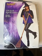 Spirit Halloween Wicked Witch Spell Caster Costume, Missing Hat, Adult Lg 12-14