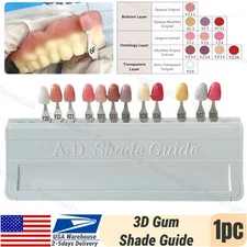 USA STOCK Dental Gingiva Aesthetic Composite Resin Pink 3D Gum A-D Shade Guide