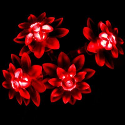 Akkubetriebene rote Lotusblume LED Feenlichter 4M 40LED: EIN + Blitz für Hochzeit