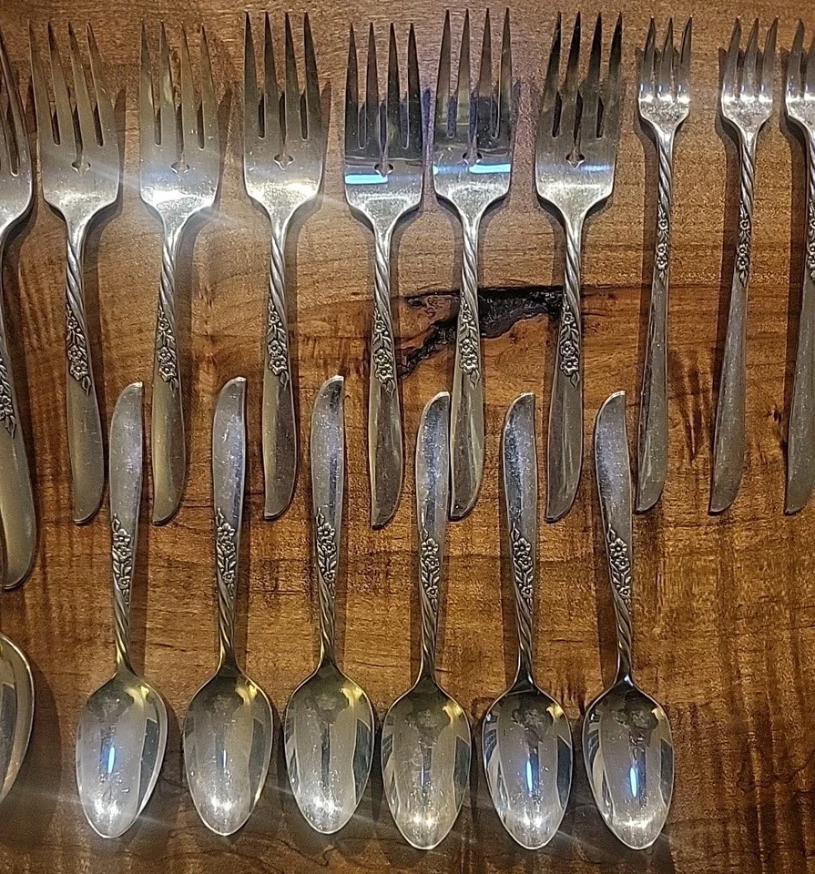 De colección 1958 Wm Rogers Oneida Wildwood I-Always placa de plata 6 ajustes de lugar + Foto 3 de 4