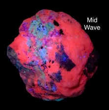 131 GM Fluorescen Afganite with Wernerite, Calcite, Phlogopite & Pyrite Specime