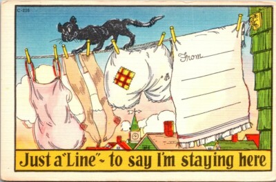 Postcard Just A Line To Say Im Staying Here Asheville NC Linen