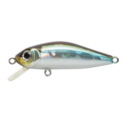 Pontoon21 CrackJack 78SP-SR 005 Crash HG Wakasagi, Lenght mm 78, Suspending F...