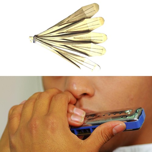 Yi Nationality Mouth Harp Professional Music Lovers Home 5 Ended Jaw Harp - Picture 4 of 4