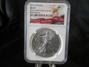 2016 American Silver Eagle MS 70 | eBay