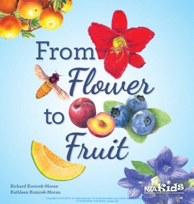 From Flower to Fruit - Paperback By Konicek-Moran, Richard - VERY GOOD