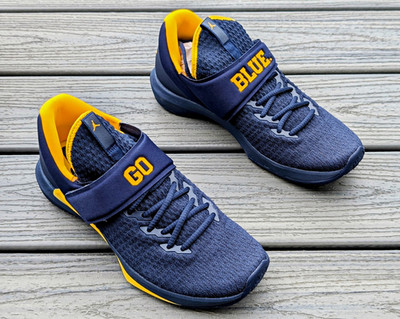 Michigan Air Jordan Trainer 3 Low College Navy/Amarillo AR1390-400 Size 11 US