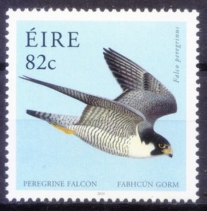 Details About Ireland 2010 Mnh Peregrine Falcon Duck Hawk Birds Of Prey W5n