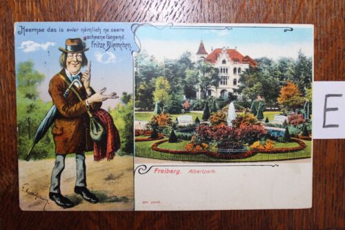 Postcard postcard Saxony lithography Freiberg Albert park  - Picture 1 of 2