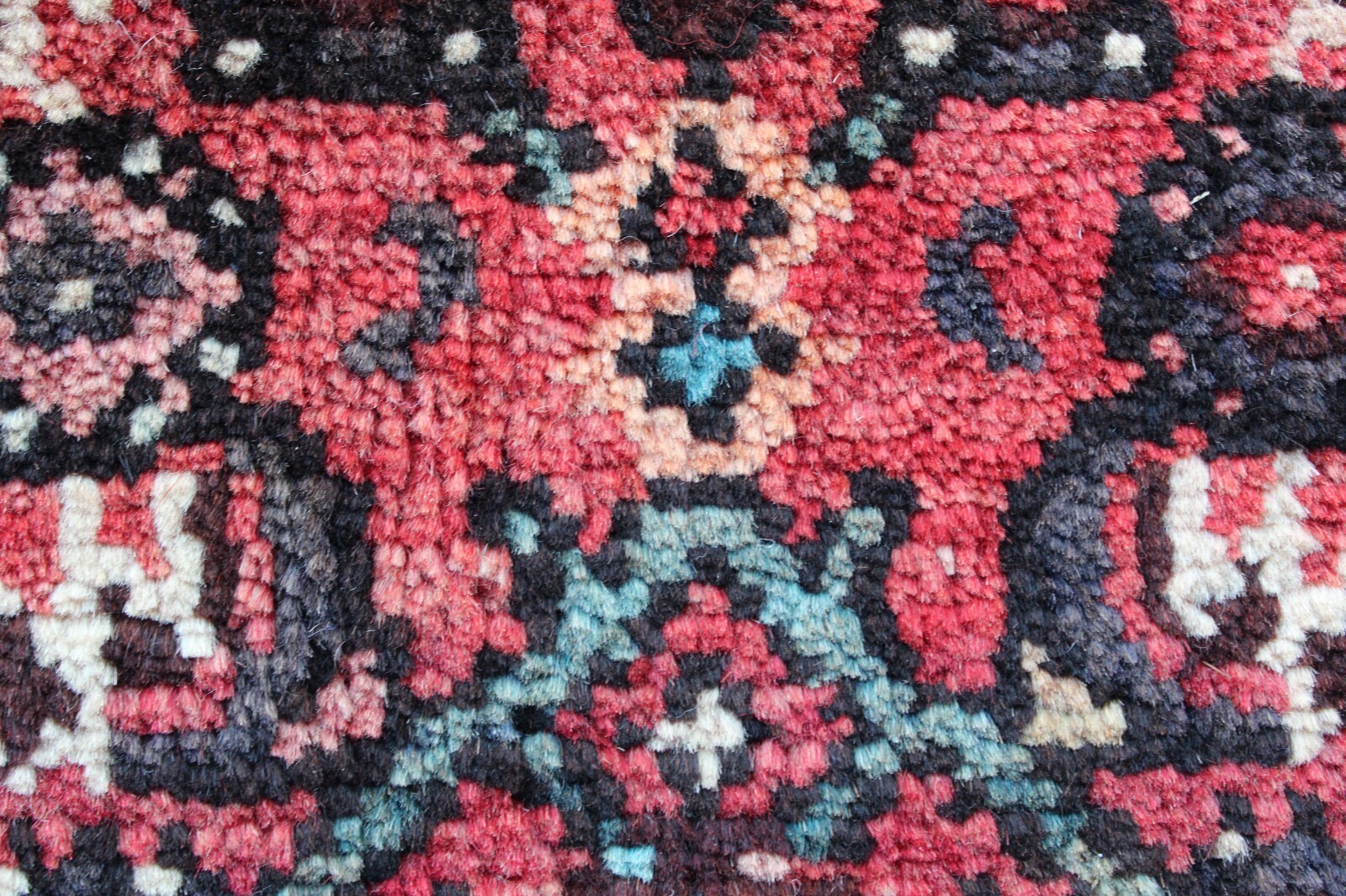 Picture 13 of 15