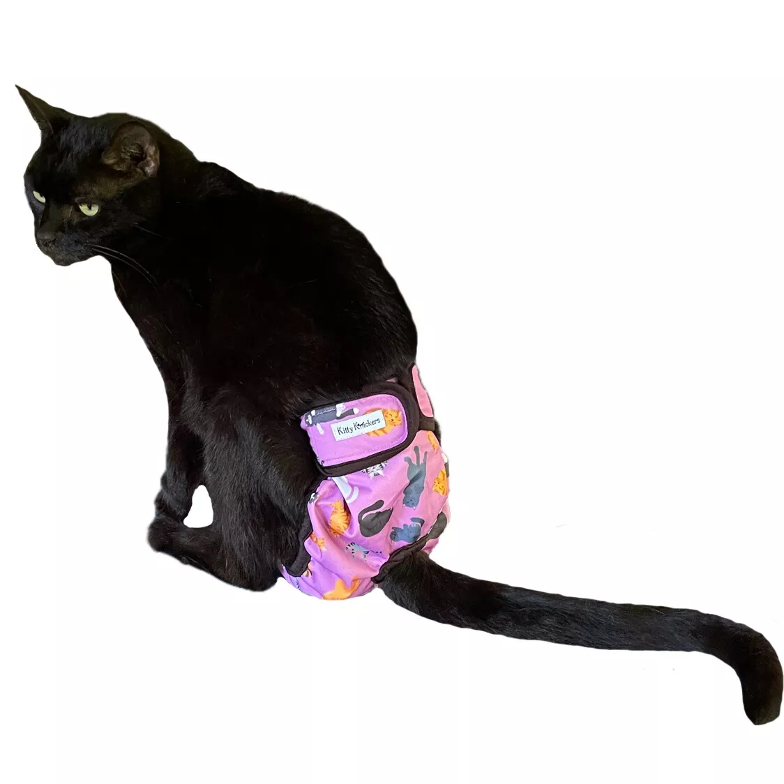 Washable cat cheap diapers