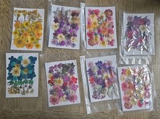 Dried Flowers Lot Vacuum Sealed For Crafts Resin Pictures Soap New