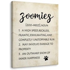 WODMIS Dog Wall Decor, Zoomies Dog Definition Framed Canvas Wall Art, Gift fo...