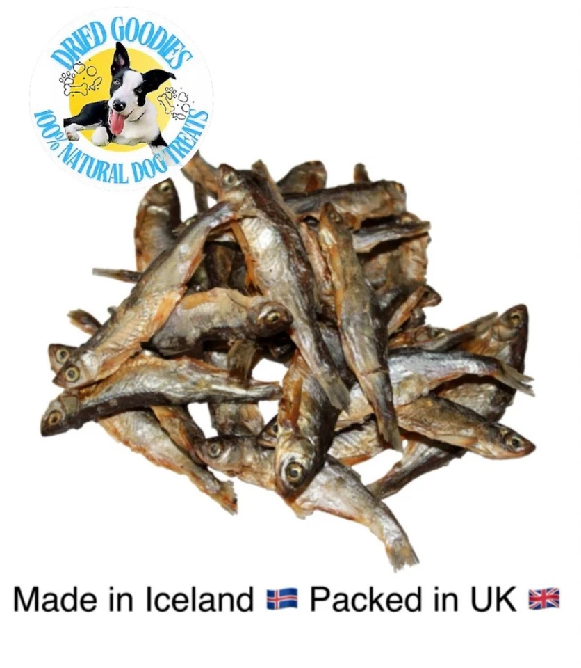 Natürliches gesundes Leckerli für Hund oder Katze Premium Grade A große luftgetrocknete Sprotten 150g