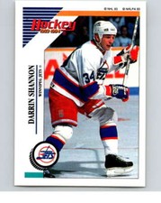 1993-94 Panini Stickers Hockey  #192 Darrin Shannon  Winnipeg Jets V83725