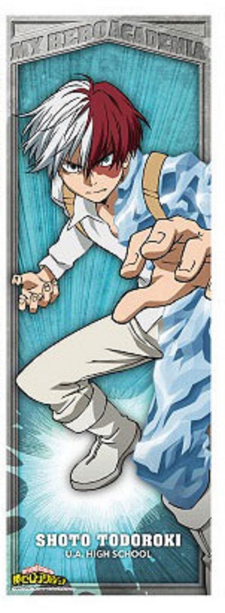 BOKU NO HERO ACADEMIA MY ACADEMY MHA BNHA SHOTO TODOROKI DEKU