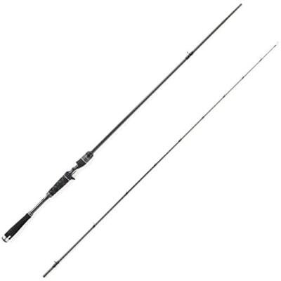 Abu Garcia SALTY STAGE PT SEABASS XSBC-722M-GJ Baitcasting Rod | eBay