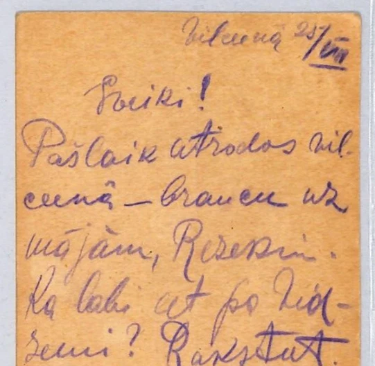 Tarjeta de papelería RUSIA LETONIA WW1 Dvinsk ferrocarril ovalado TPO Zelzava CDS 1916 ZT94 Foto 4 de 4