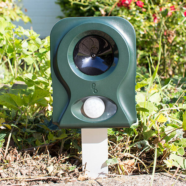 Pestbye Ultrasonic Cat Repellent Battery Fox Grelly UK