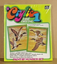 Vintage Craft Master Crylic 1 High Flight 16032 Paint by Number Set NEW 1974