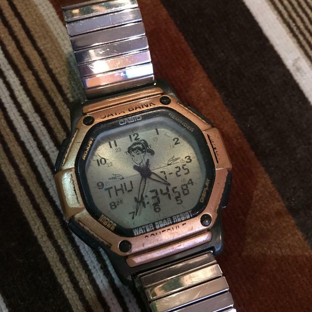 casio databank twincept