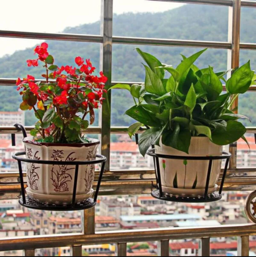 plant wall shelves indoor Prairie Sand Plant Shelves: Showcase Your Plants with Elegance