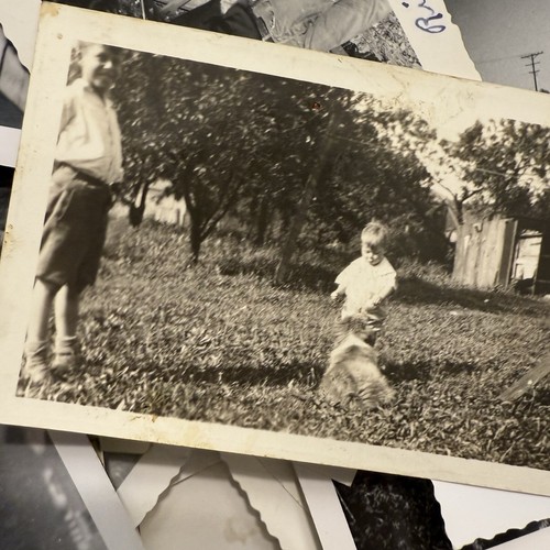 LARGE LOT OF BLACK & WHITE VINTAGE PHOTOS FOUND SNAPSHOTS 200 Plus Photographs - Picture 15 of 24