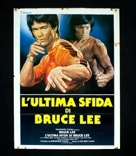 BRUCE LEE LAST CHALLENGE Game of Death II Bruceploitation D95 Poster Poster