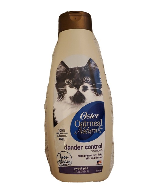 old cat stopped eating