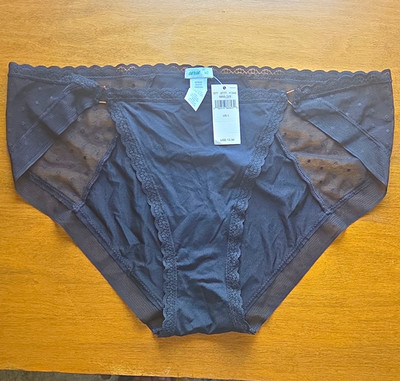 Aerie Black Silky Satin Mesh Accent Bikini Boyshort Panty Sz L