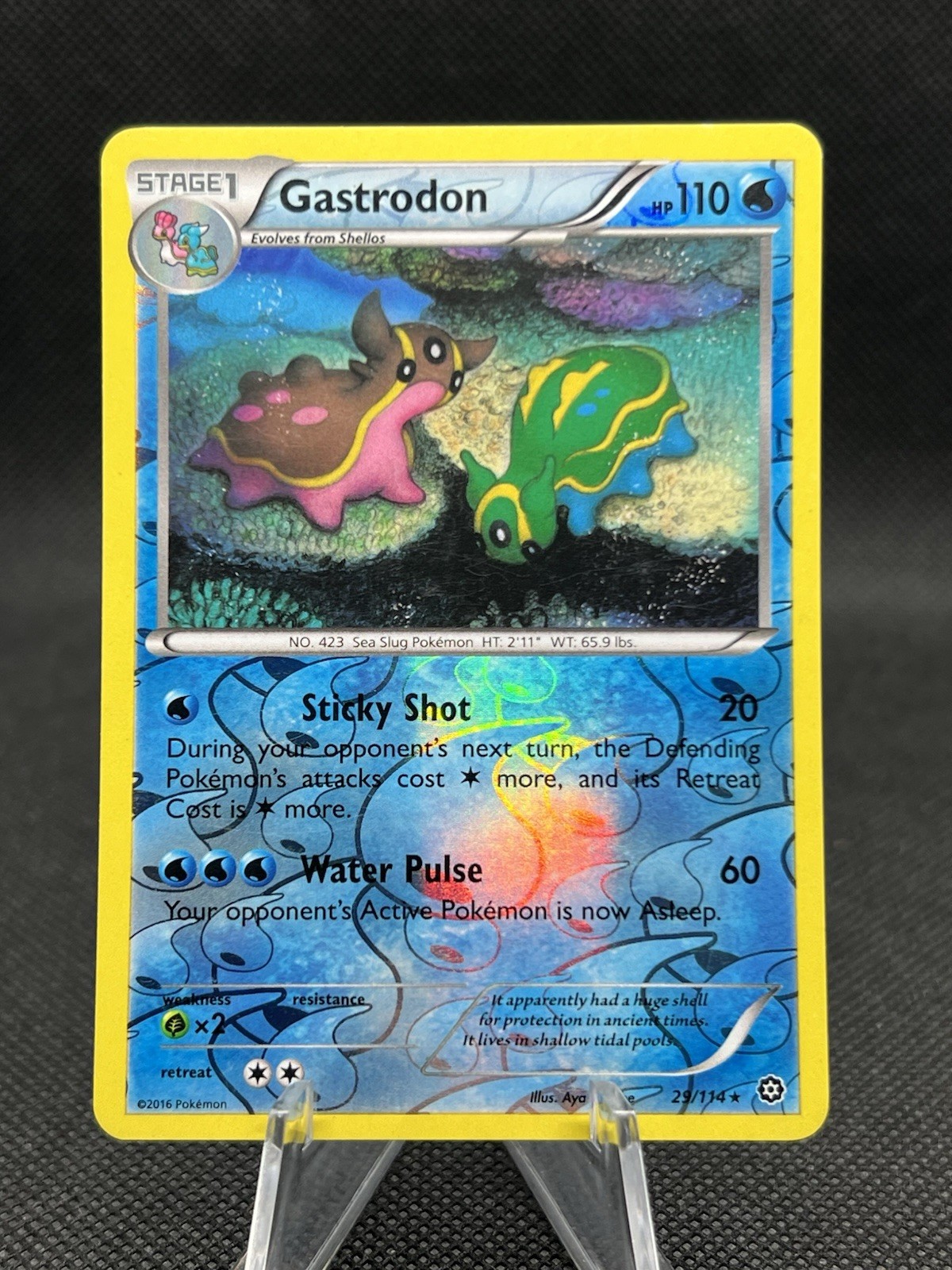Pokemon TCG XY Steam Siege Gastrodon Reverse Holo Rare 29/114 LP