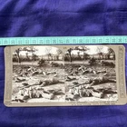WW1 Stereo Photo - Fallen Soldiers After Battle – c.1914–18 #24