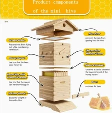 MINI 10X Upgraded Auto Honey Frames &Wooden Bee Hive House Beehive Box