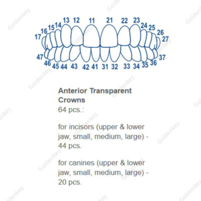 Dental Transparent Crown Anterior Matrices Matrix TOR VM 64pcs